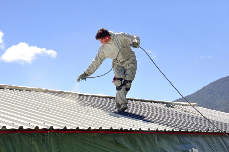 Roof Painting Service